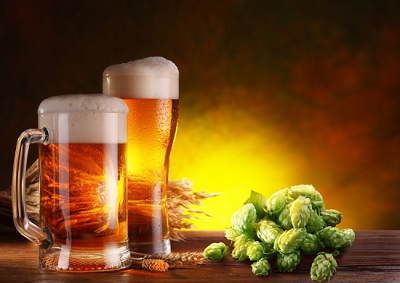Nel luppolo e birra una sostanza che sveglia il cervello dei giovani
