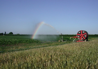 Da MIPAAF boccata d’ossigeno di 2 miliardi per l’agricoltura