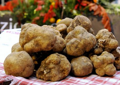 Castello di Gabiano ben ritrovato autunno, vino del mese il Gavius