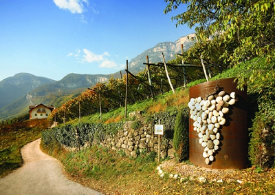 In Alto Adige indicazione ‘vigna’ diviene ‘cru’ del territorio