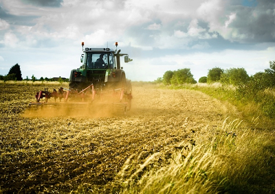 Ricerca Eurispes: al 32% il lavoro sommerso in agricoltura