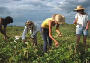giovani-agricoltura-marcopolonews