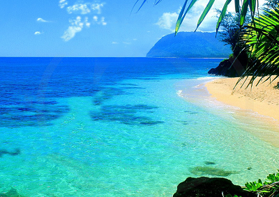 Dalle Hawaii elisir alchemico naturale, organico e anti-età