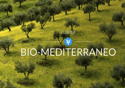 Expo: armonia, salute, bellezza in cluster Biomediterraneo