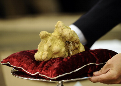 Tartufo Bianco d’Alba: stagione 2015