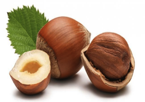 nocciola_marcopolonews copia