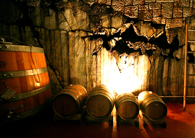 Il vino Terrano prodotto bandiera del Carso transfrontaliero