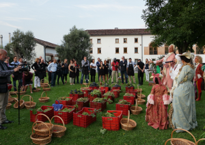 vendemmia-marcopolonews