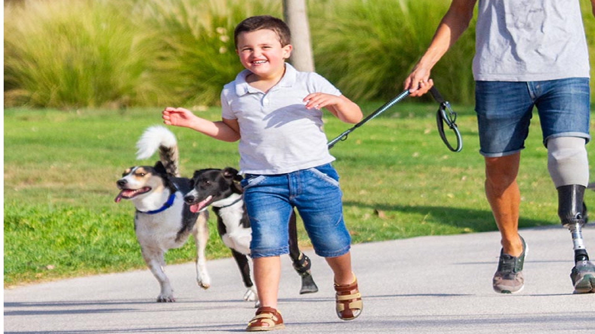 Dubai mum’s new photo project to capture people and pets of determination