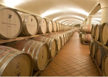 Eccellenza enologica e vini sempre più eleganti e armonici nelle nuove annate di Ambrogio e Giovanni Folonari Tenute