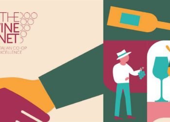 The Wine Net: le reti di imprese sono un osservatorio economico privilegiato