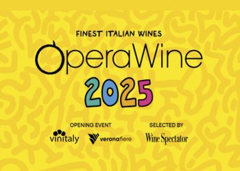 The Best Italian Wines in Verona